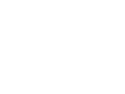 Macemore Inc
